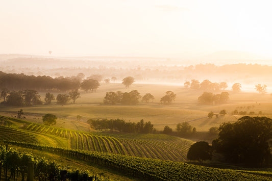 Chardonnay Day - Thursday May 22nd, 2025