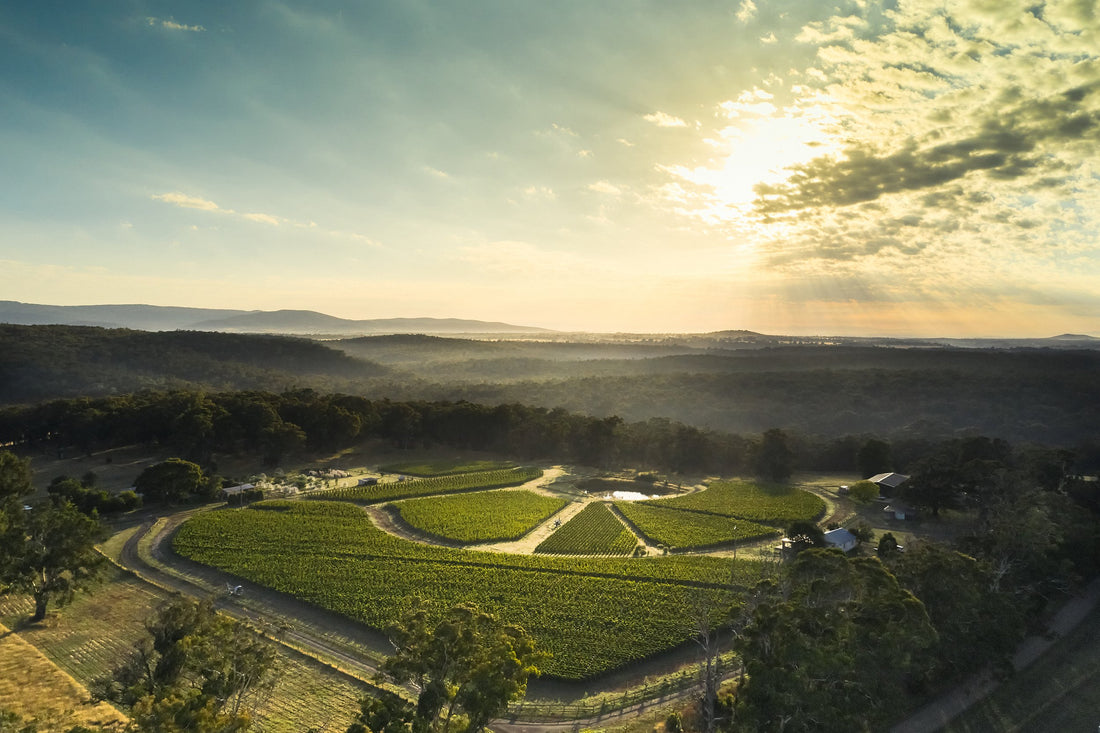 Place of Changing Winds: Is this Australia's Next Best Pinot Producer?