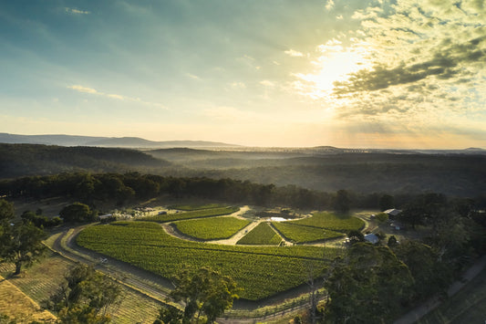 Place of Changing Winds: Is this Australia's Next Best Pinot Producer?