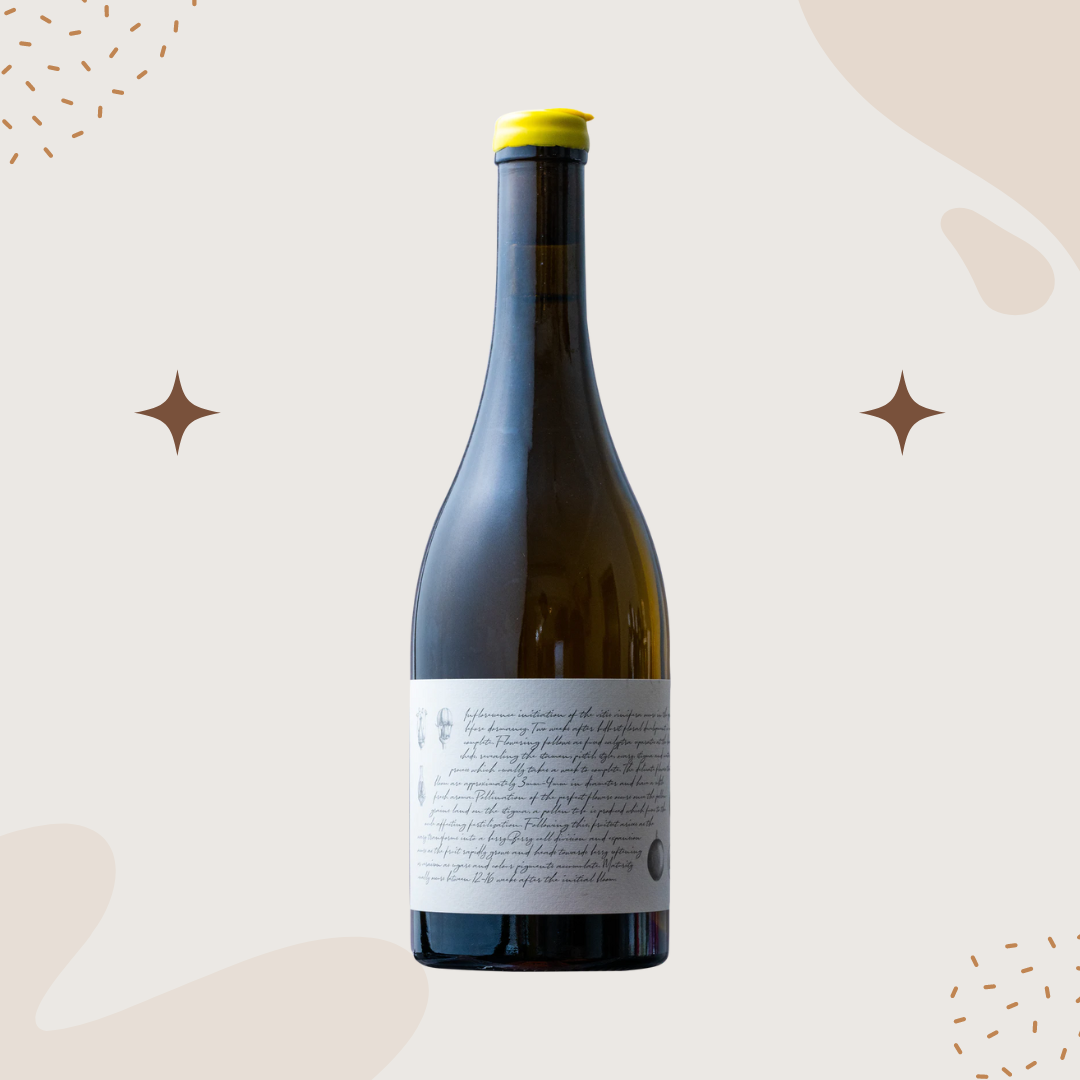 M&J Becker 'HV' Chardonnay 2023