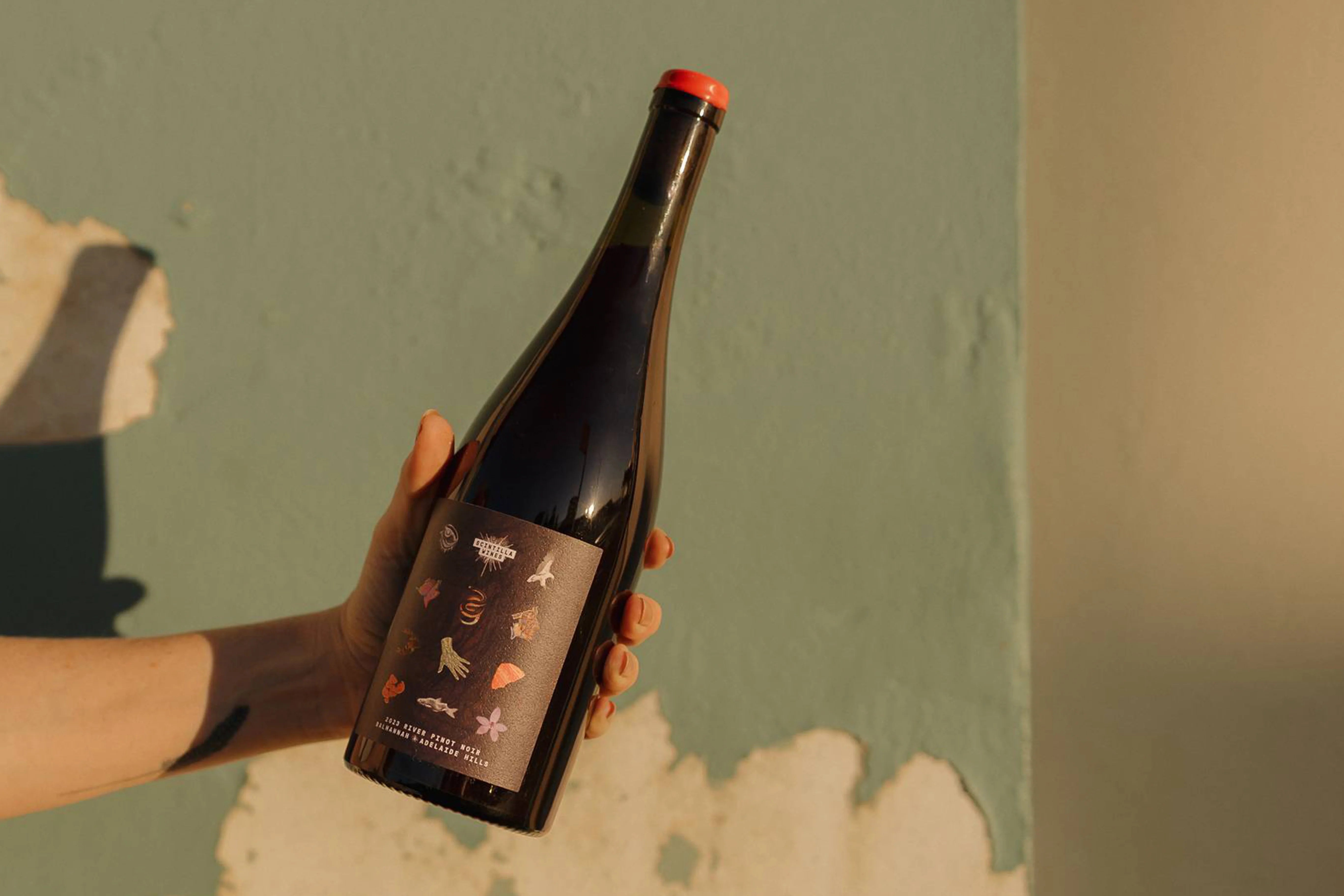Red Wine – Page 3 – Vera Wine