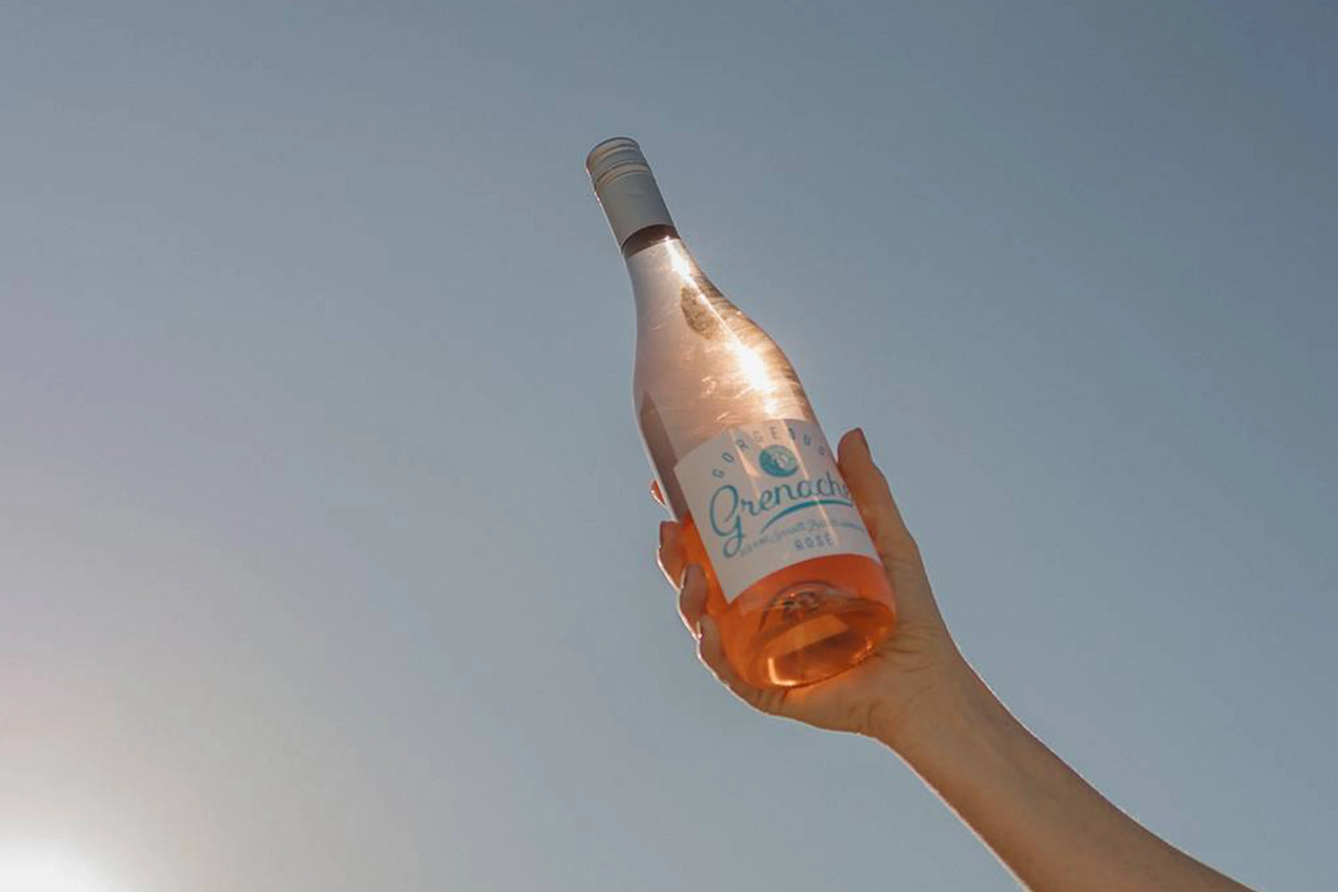 A collection of rose