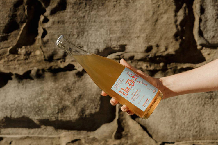 A collection of sparkling wines