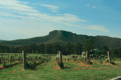 Margan Wines and their journey through Regenerative Agriculture - Masterclass @ Vera Wine & Bar