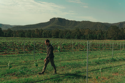 Margan Wines and their journey through Regenerative Agriculture - Masterclass @ Vera Wine & Bar