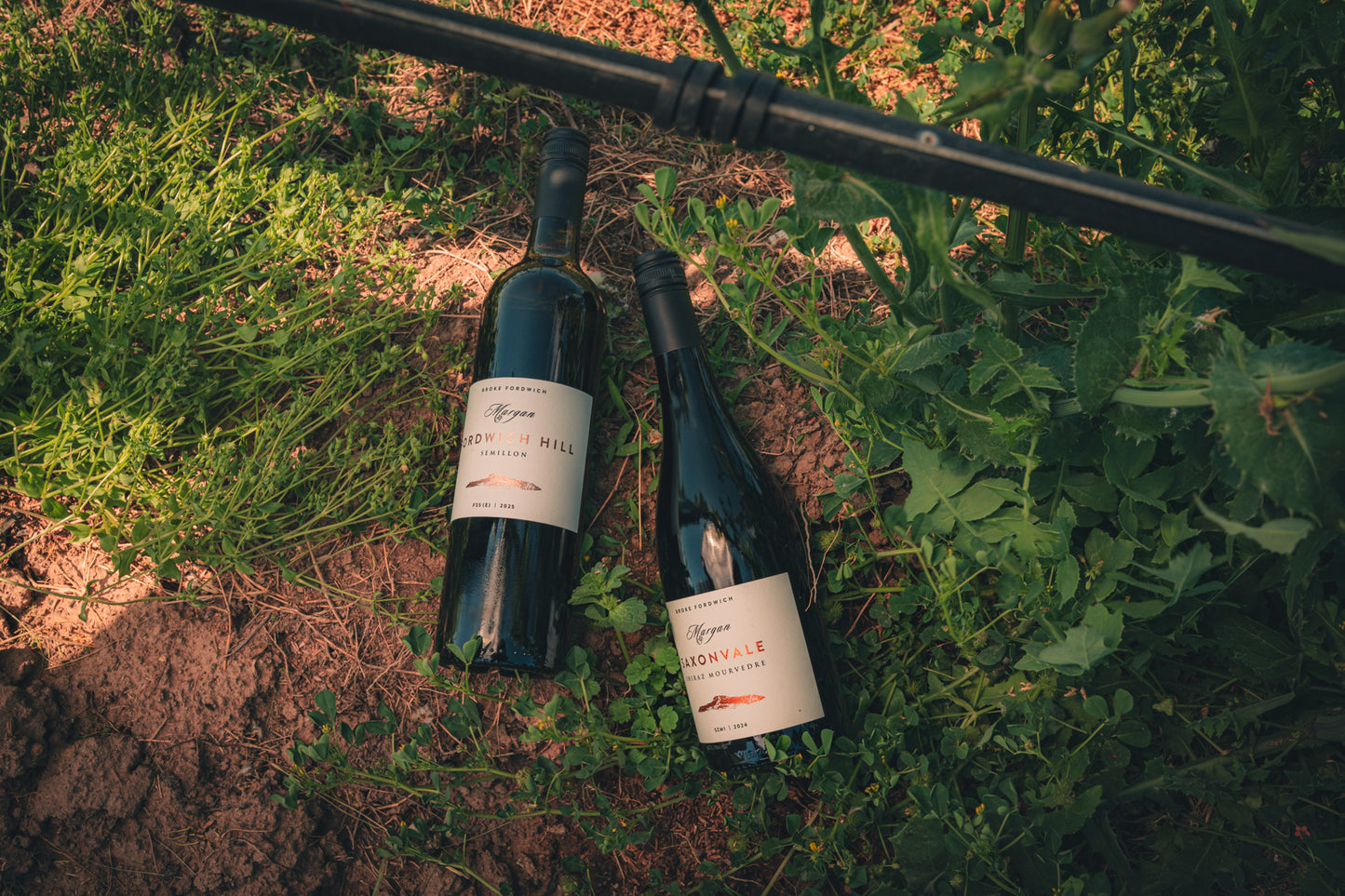 Margan Wines and their journey through Regenerative Agriculture - Masterclass @ Vera Wine & Bar