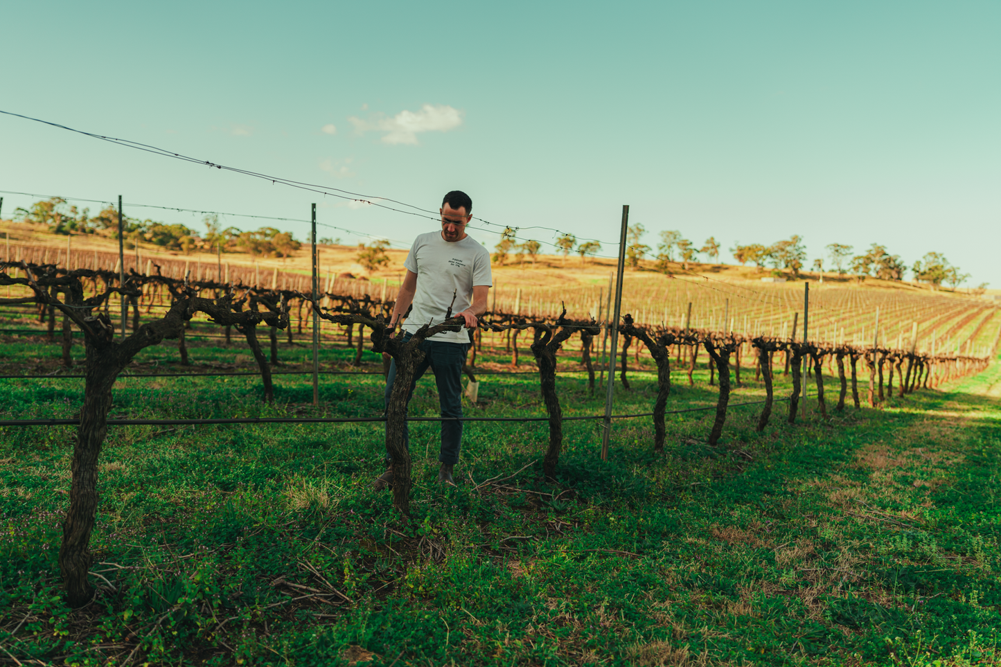 Margan Wines and their journey through Regenerative Agriculture - Masterclass @ Vera Wine & Bar