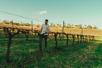 Margan Wines and their journey through Regenerative Agriculture - Masterclass @ Vera Wine & Bar