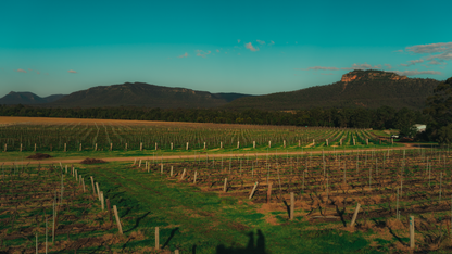 Margan Wines and their journey through Regenerative Agriculture - Masterclass @ Vera Wine & Bar