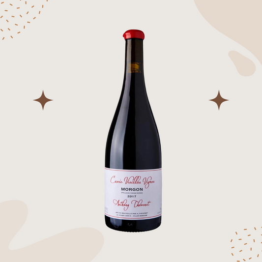 Anthony Thevenet Morgon VV 2018