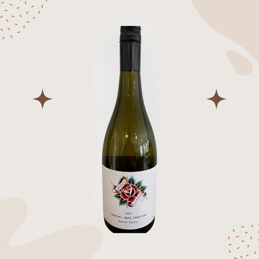 DOC Wines Amphora Aged Semillon 2025
