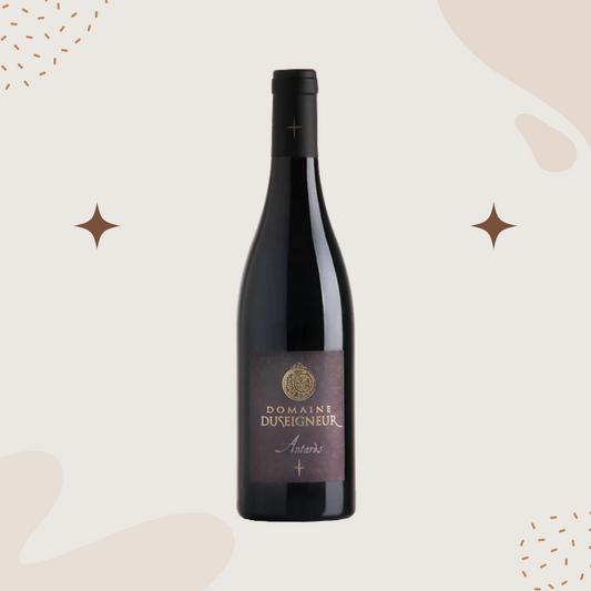 Domaine Duseigneur 'Antares' Lirac 2021