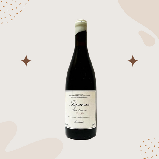 Envinate 'Taganan' Tinto 2021