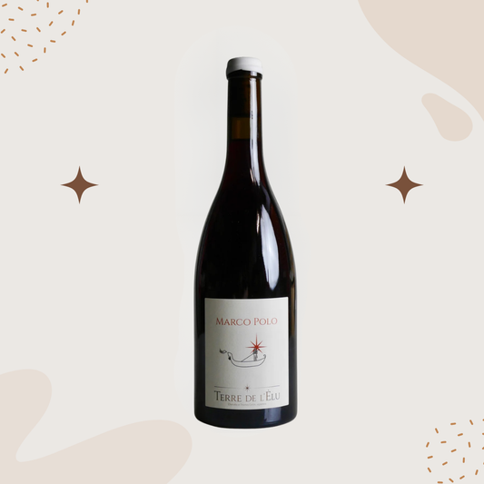 Terre de l'Elu 'Marco Polo' Grolleau 2024
