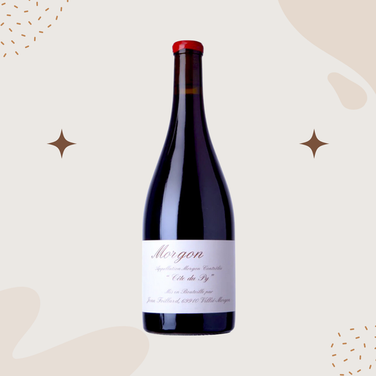 Jean Foillard Morgon 'Côte du Py' 2023